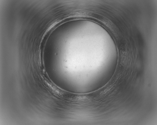 X0000052610982200507081842