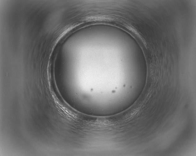 X0000052610983200507081842