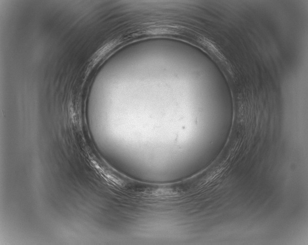 X0000052610986200507081842