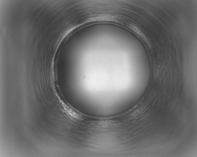 X0000052610988200507081842