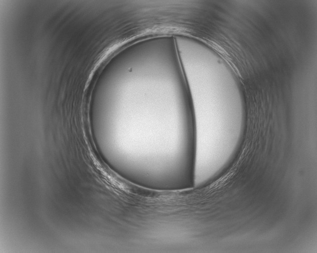 X0000052610989200507081842