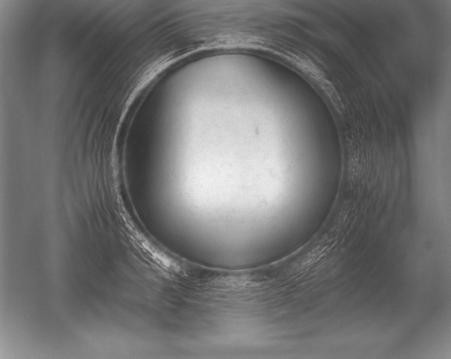 X0000052610990200507081842