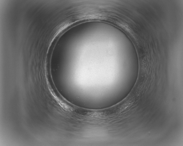 X0000052610991200507081842