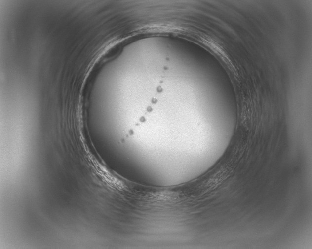 X0000052610992200507081842