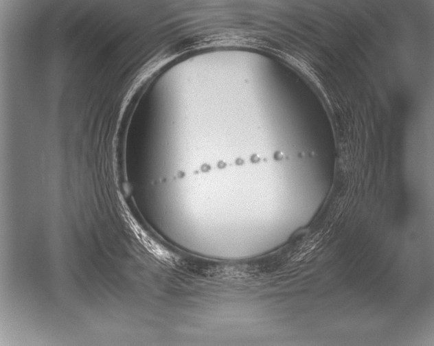 X0000052610995200507081842