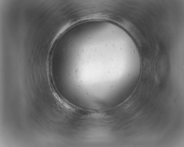 X0000052610998200507081841