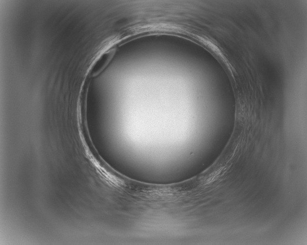 X0000052610999200507081841