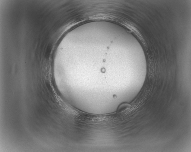 X0000052611000200507081841