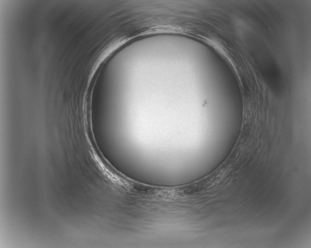 X0000052611003200507081841