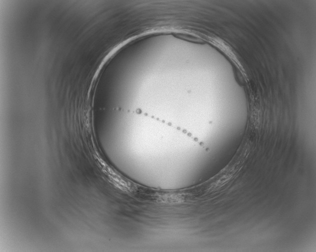 X0000052611004200507081841