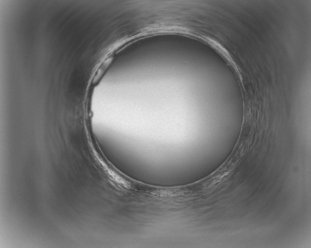 X0000052611005200507081841