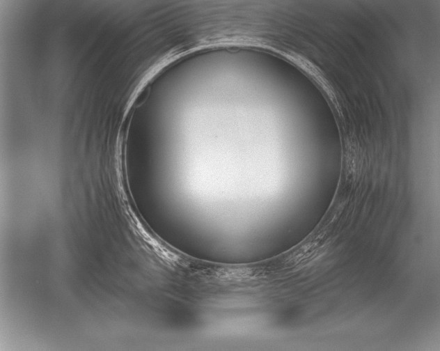 X0000052611006200507081841