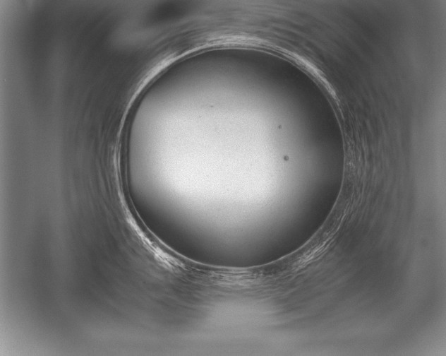 X0000052611007200507081841