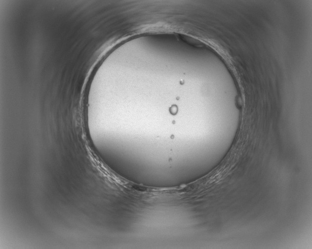 X0000052611008200507081841