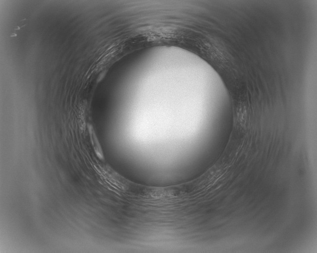 X0000052611012200507081841