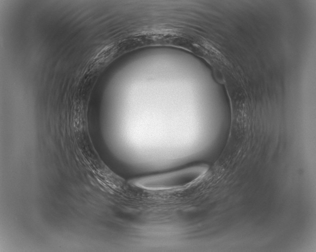 X0000052611014200507081841