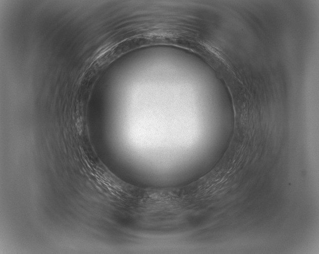 X0000052611015200507081841