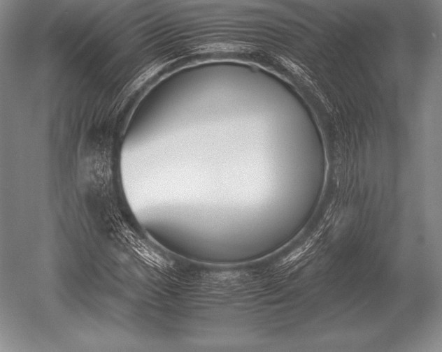 X0000052611017200507081841