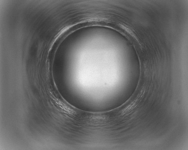 X0000052611021200507081841