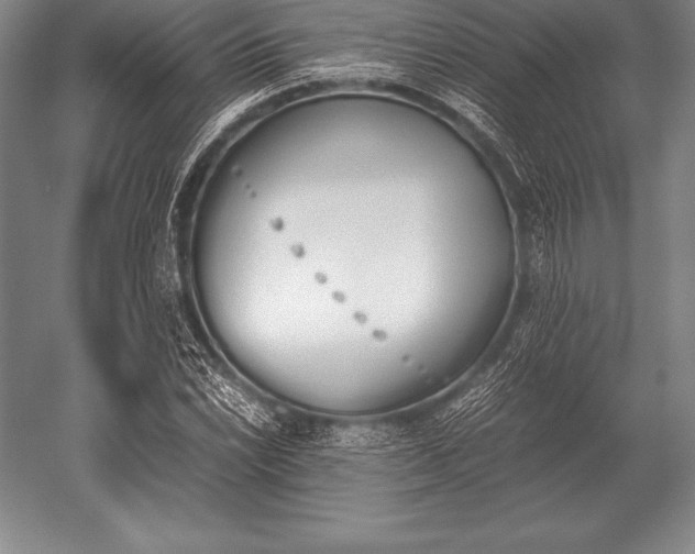 X0000052611022200507081841