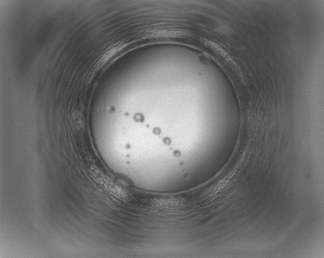 X0000052611025200507081841