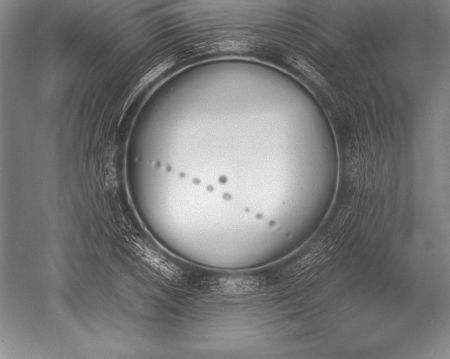 X0000052611026200507081841