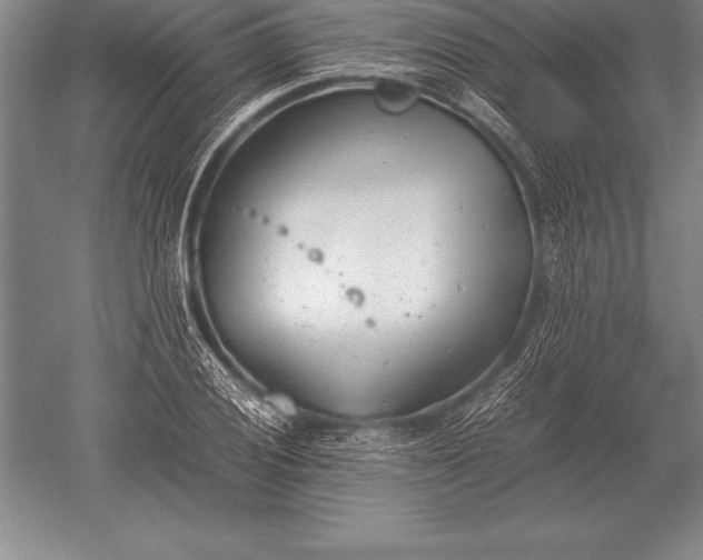 X0000052611028200507081841