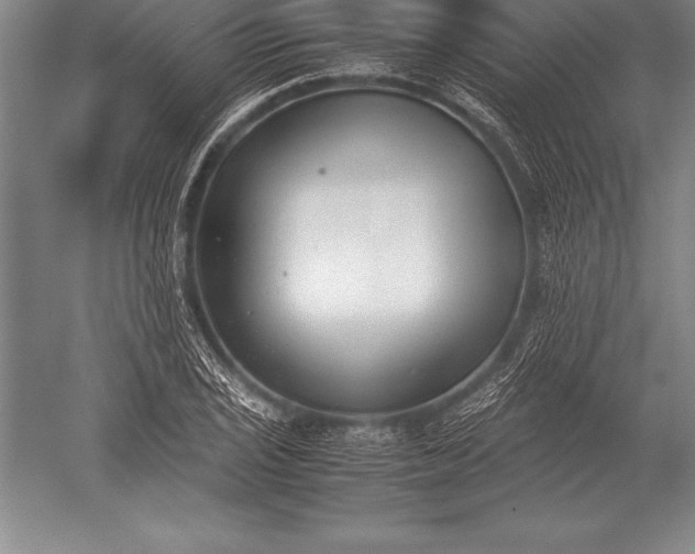 X0000052611029200507081841