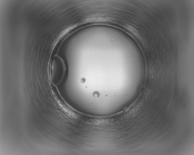 X0000052611030200507081841