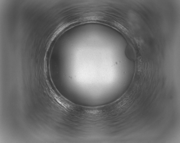 X0000052611031200507081841