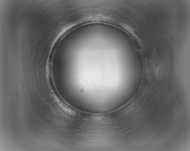 X0000052611032200507081841