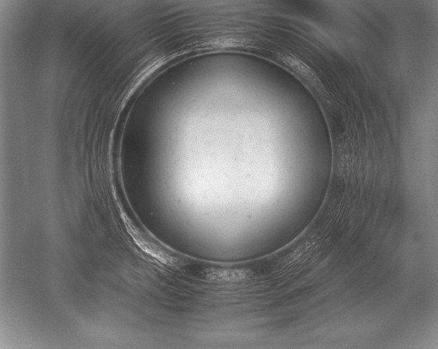 X0000052611039200507081841