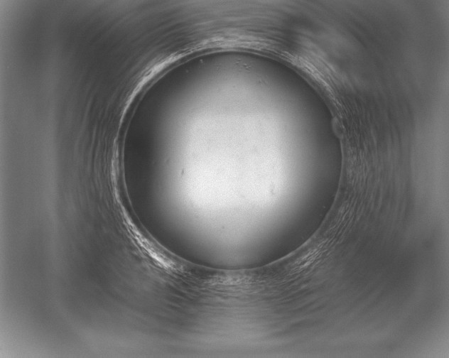 X0000052611040200507081841