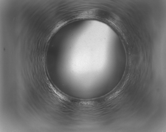 X0000052611041200507081841