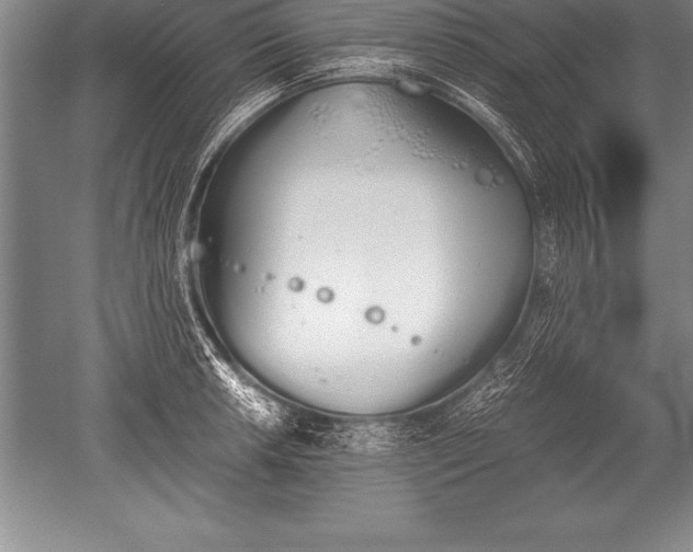 X0000052611042200507081841