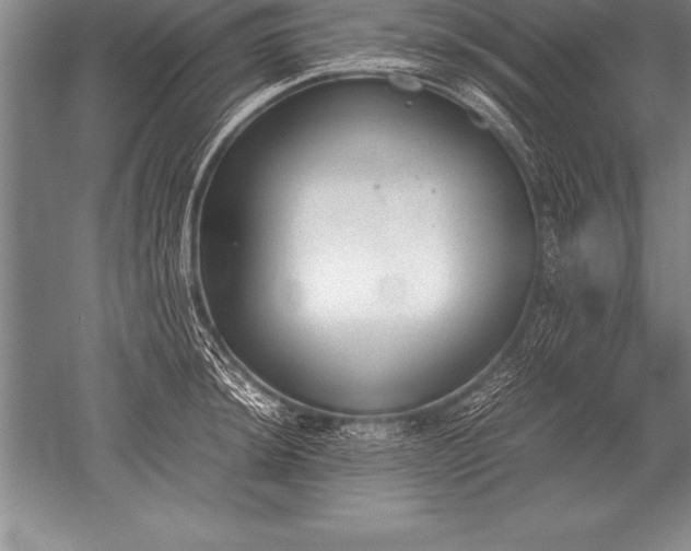 X0000052611044200507081841