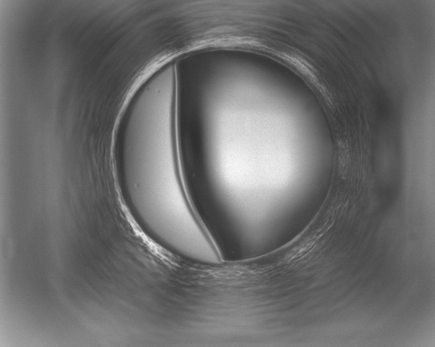 X0000052611046200507081841