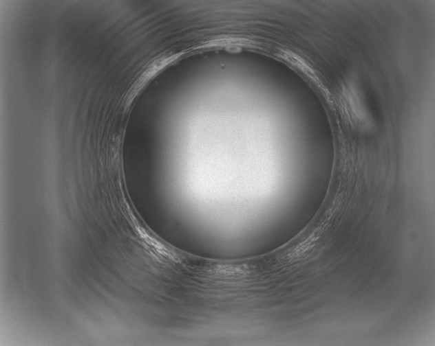 X0000052611049200507081841