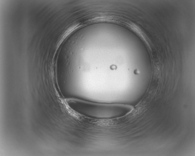 X0000052611050200507081841