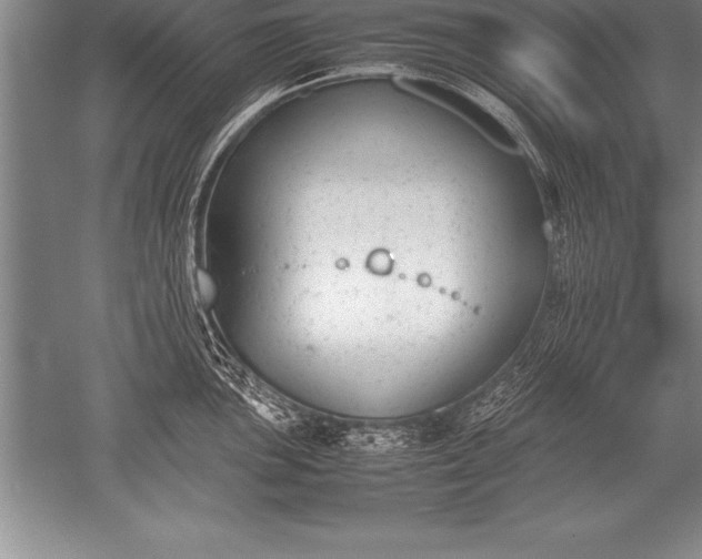 X0000052611051200507081841