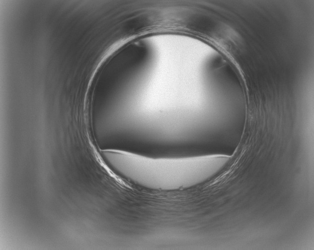 X0000052611053200507081841