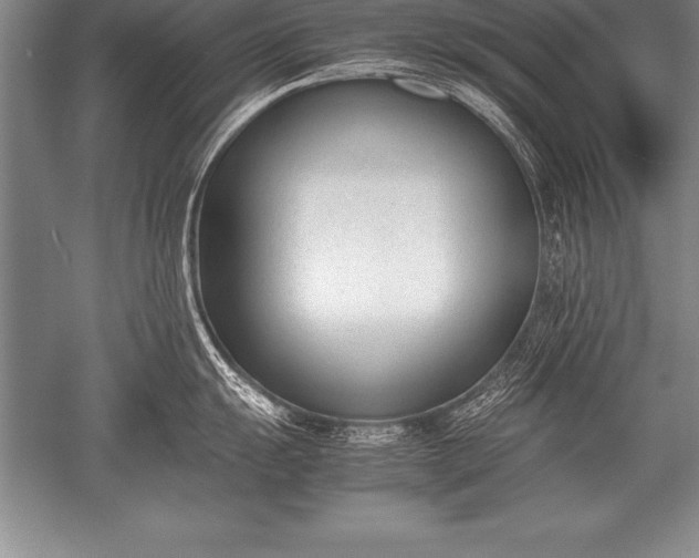 X0000052611055200507081841