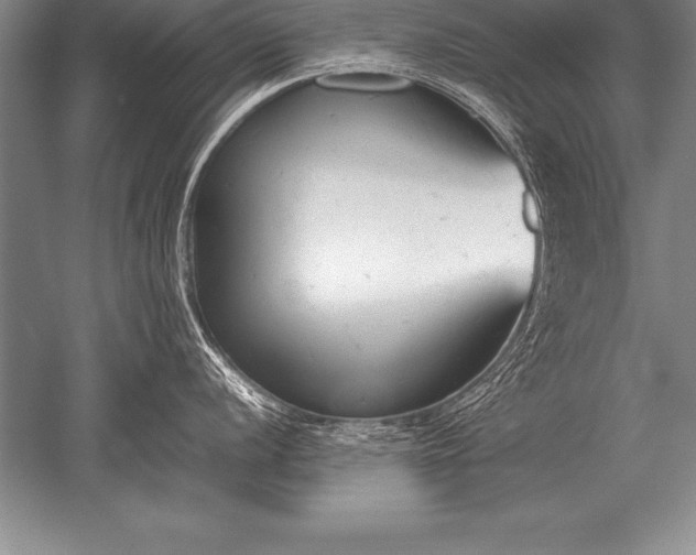 X0000052611056200507081841