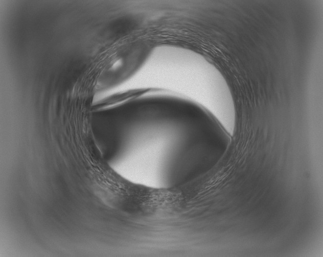 X0000052611059200507081840