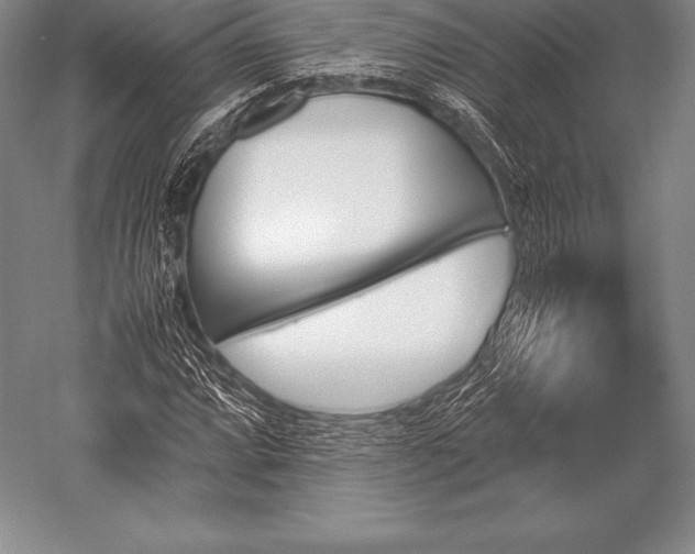 X0000052611064200507081840