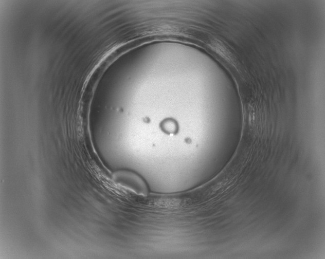 X0000052611068200507081840