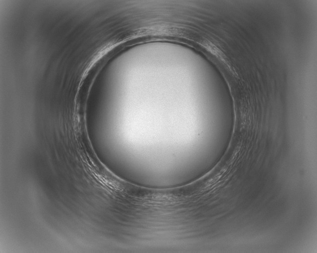 X0000052611070200507081840