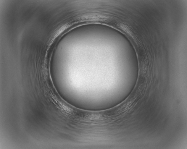 X0000052611071200507081840