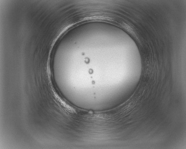 X0000052611084200507081840