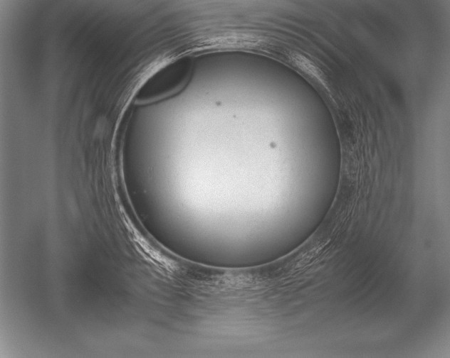 X0000052611087200507081840